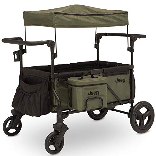 Best Wagon Stroller